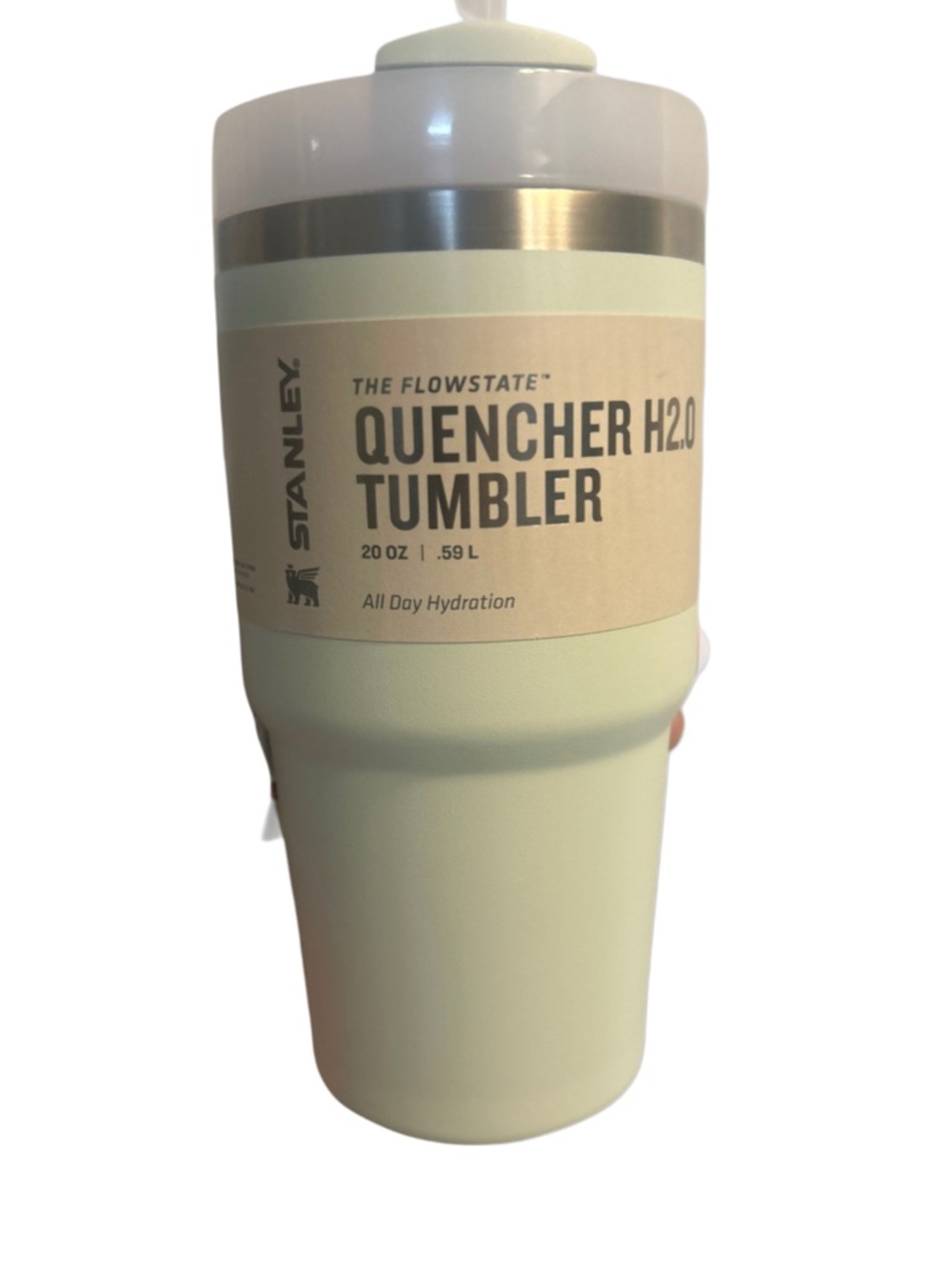 Stanley Quencher H2.0 Tumbler 20oz “Mist”
